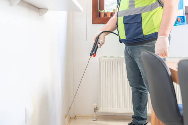 Best Cockroach Control Services  in Blue Island, IL