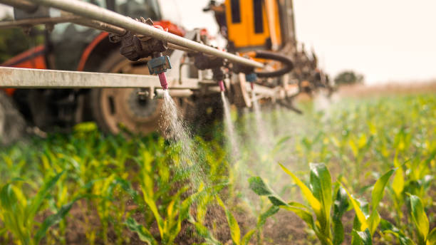 Best Pest Prevention Services  in Blue Island, IL